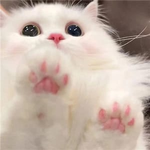 Ảnh đại diện người dùng Thùy Linh